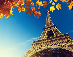 Fototapeta na wymiar Eiffel tower in autumn time