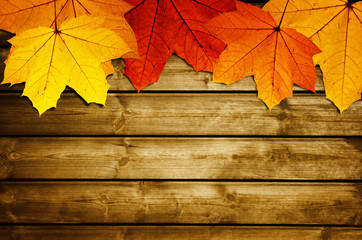 wooden background with autumn maple leaves