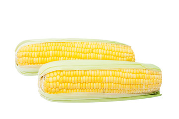 Corn isolated with clipping path