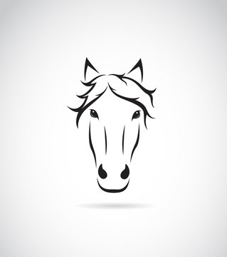 Vector image of an horse face on white background