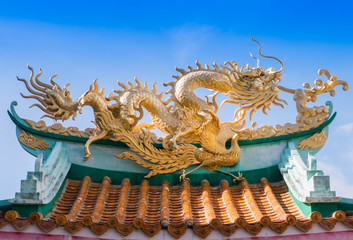 Fototapeta premium Dragon