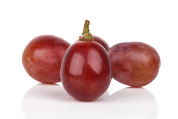 red grape isolated on white background