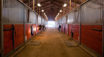 Center Path Through Horse Paddock Equestrian Ranch Stable - obrazy, fototapety, plakaty
