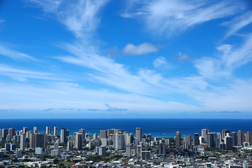 Fototapeta premium Honolulu Metropolitan cityscape