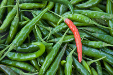 Chillies for sale in India