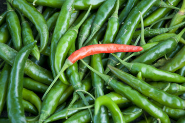 Chillies for sale in India