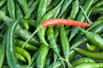 Chillies for sale in India
