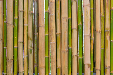 bamboo fence for background