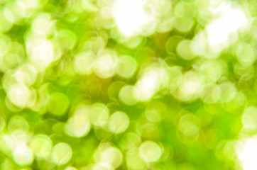 Green bokeh