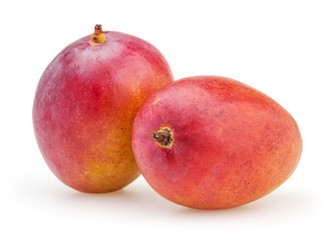 Two mangoes isolated on white background with clipping path
