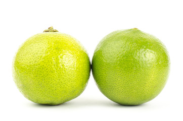 Lime