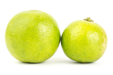 Lime