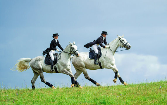 Two women riding white horses. Equestrian sport - dressage.