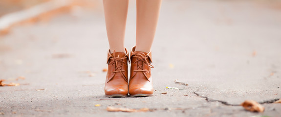 Brown female shoes in the autumn park.
