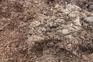 Buffalo feces on the road. Buffalo manure is a natural organic