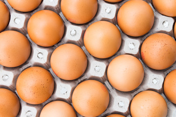 Eggs