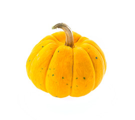 Pumpkin isolated on white