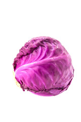 Obraz premium Cabbage isolated on white