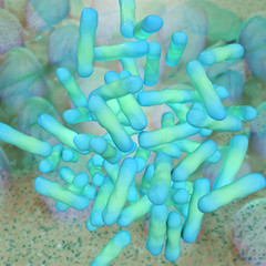 Shigella dysenteriae - 3d Render