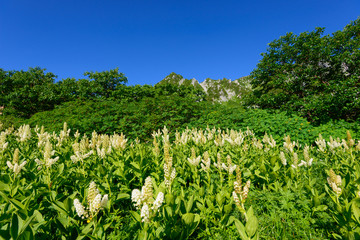 Fototapeta na wymiar Senjojiki Cirque at the Mount Kisokoma in Nagano, Japan