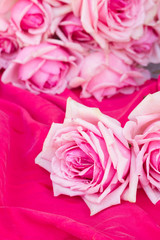 pink  roses  on table