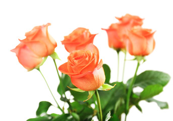 Bouquet of beautiful roses isolated on white