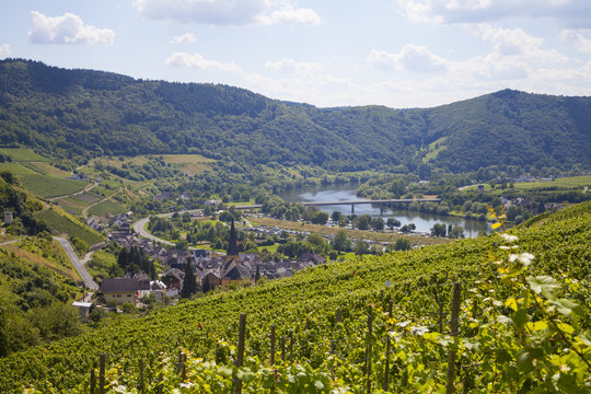 Senheim an der Mosel