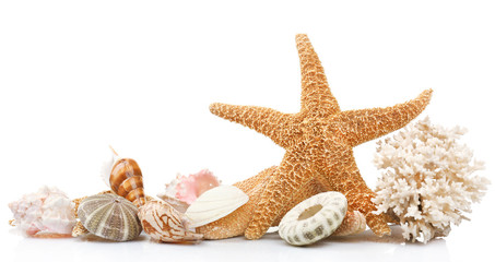 Seashells on sand, isolated on white