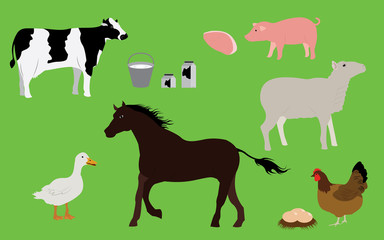 Farm Animals and Farm Products Collection