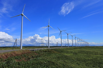 Fototapeta na wymiar Wind farm in North Hokkaido, Kapan
