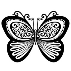 Vector Beautiful Butterfly, Exotic Insect. Patterned design, Tat