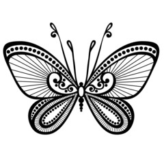 Vector Beautiful Butterfly, Exotic Insect. Patterned design, Tat