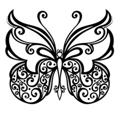 Vector Beautiful Butterfly, Exotic Insect. Patterned design, Tat