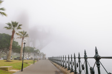 Thick fog in the morning at Sydney Harbour bridge