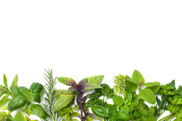Fototapety  Fresh herbs