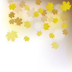 Autumn vector background with leaves