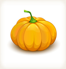 Cheerful beautiful pumpkin