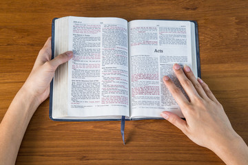 Naklejka premium bible