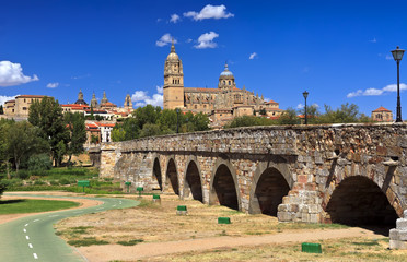 Salamanca view with Cathedral and Roman bridge