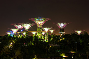 Garden by The Bay, Singapore