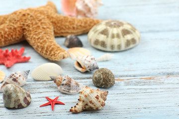 Seashells on wooden table, close-up
