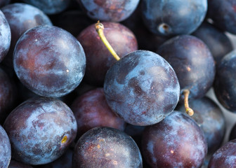 Fresh plums closeup background