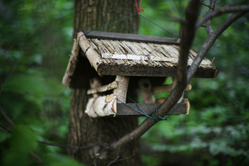 Kleines Vogelhäuschen - Selbstbau