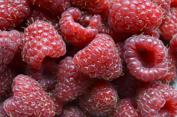 maliny © zetat