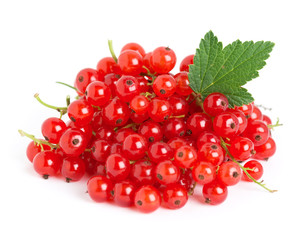 Red currants