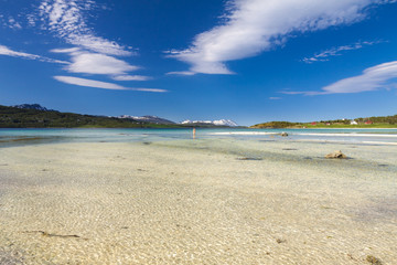 Paradise beach of Lofoten