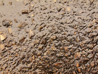 Wet burnt ash of grass solidified by rain into dark mud. 