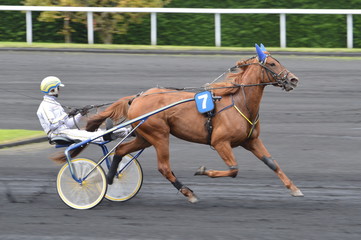 trotteur