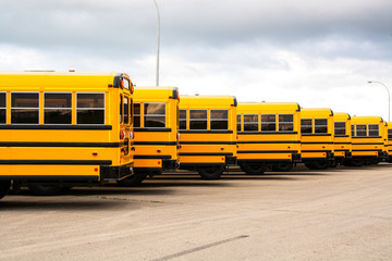 School bus - 69508285