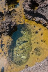 stone pit on the coast filled with sea water.Vertical